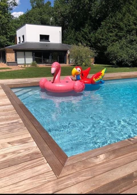 Vouzeron Magnifique Villa Avec Piscine En Sologne מראה חיצוני תמונה